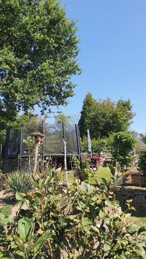 Frankes Lodge Apartment Mit Garten Und Pool, 6 Einzelbetten, Parkplatz 埃森 外观 照片