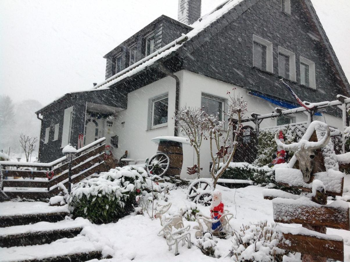 Frankes Lodge Apartment Mit Garten Und Pool, 6 Einzelbetten, Parkplatz 埃森 外观 照片